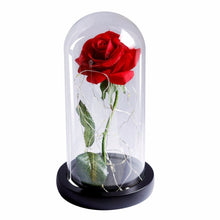 Load image into Gallery viewer, Beauty and the Beast Enchanted Rose