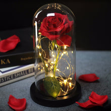 Load image into Gallery viewer, Beauty and the Beast Enchanted Rose