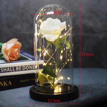 Load image into Gallery viewer, Beauty and the Beast Enchanted Rose