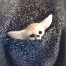 Load image into Gallery viewer, Wool Felt Poke Handmade DIY Material Kit Wool Needle Non Finished Cat Fox Raccoon Animal Brooch Plush Doll Women Bag Pendant