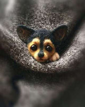 Load image into Gallery viewer, Wool Felt Poke Handmade DIY Material Kit Wool Needle Non Finished Cat Fox Raccoon Animal Brooch Plush Doll Women Bag Pendant