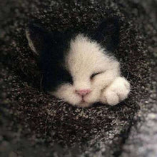 Load image into Gallery viewer, Wool Felt Poke Handmade DIY Material Kit Wool Needle Non Finished Cat Fox Raccoon Animal Brooch Plush Doll Women Bag Pendant