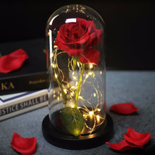 Load image into Gallery viewer, Beauty and the Beast Enchanted Rose
